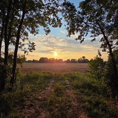 Apartman 2- Zimmer-wohnung, Naehe Phantasialand, Palmenparadies, Koeln, Bonn