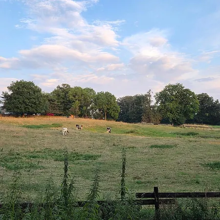 2- Zimmer-wohnung, Naehe Phantasialand, Palmenparadies, Koeln, Bonn Apartment Weilerswist