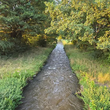 2- Zimmer-wohnung, Naehe Phantasialand, Palmenparadies, Koeln, Bonn * Weilerswist