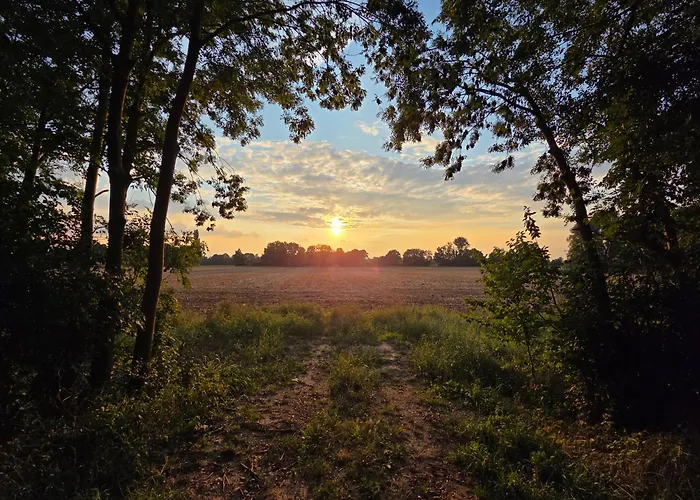 Apartman 2- Zimmer-wohnung, Naehe Phantasialand, Palmenparadies, Koeln, Bonn