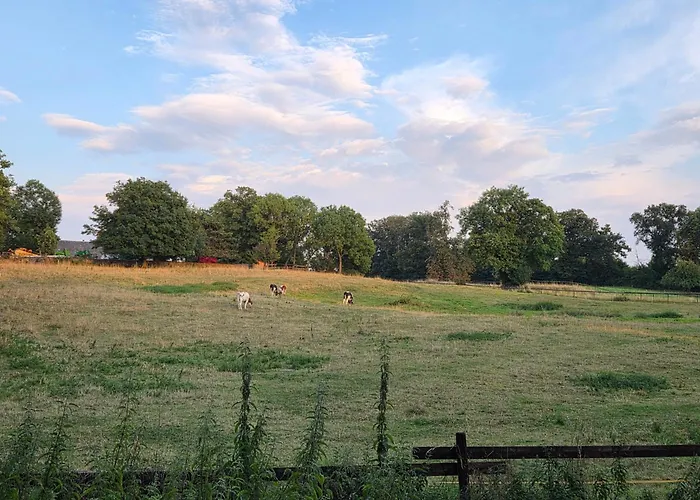 2- Zimmer-wohnung, Naehe Phantasialand, Palmenparadies, Koeln, Bonn 公寓 维勒斯威特