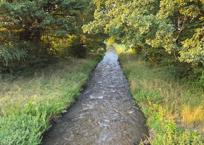 2- Zimmer-wohnung, Naehe Phantasialand, Palmenparadies, Koeln, Bonn * Weilerswist